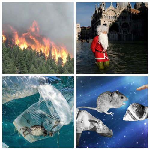 2019: Байгаль орчинд нөлөөлсөн ОНЦЛОХ үйл явдлууд 